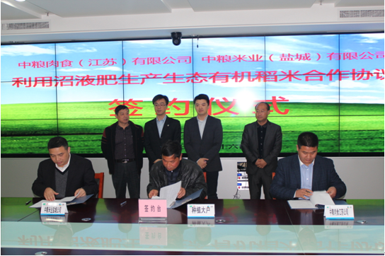 代表公司签约.png 代表公司签约.png